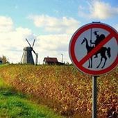 User avatar for Elisa Zucca