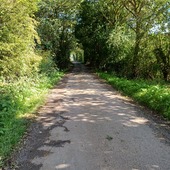 User avatar for Ann Drayson