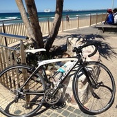 User avatar for Carole Licht