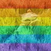 User avatar for Danilo Angelilli