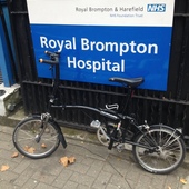 User avatar for Alroy Da Costa