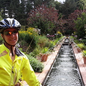 User avatar for Heather Gray