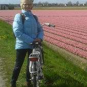 User avatar for Petra Van 't Hoff