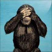 User avatar for Stefano Rainieri