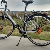 User avatar for Wemmy Van L