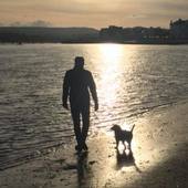 User avatar for Dan Bolt