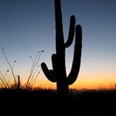 User avatar for Gary Epple