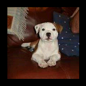 User avatar for Grant Mc Kelvey