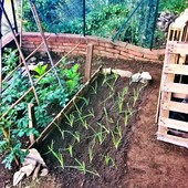 User avatar for Andrea Calamai