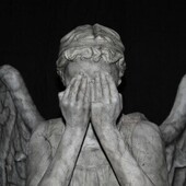 User avatar for Tony Morley