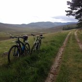 User avatar for Gavin Bell