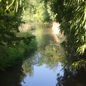 User avatar for Amelia Tipaldi