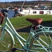 User avatar for Carol Johnstone