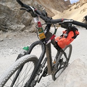 User avatar for Nikki Jorgensen