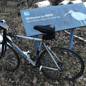 User avatar for Michael Waugh