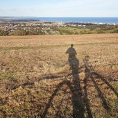 User avatar for Darren Haynes