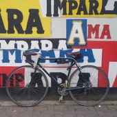 User avatar for Chiara Parravicini