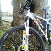 User avatar for Marco Bianco