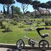 User avatar for Stefania Piras