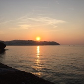 User avatar for Andy G