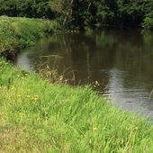 User avatar for Theresa Moan