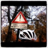 User avatar for Eliana Barbera