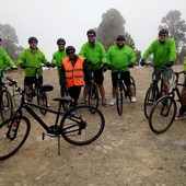 User avatar for Stephen Toshney