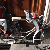 User avatar for Erika Mitton