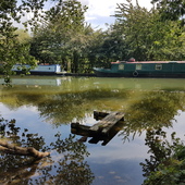 User avatar for Matthew Wroe