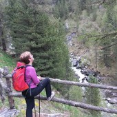 User avatar for Gabriella Supertino