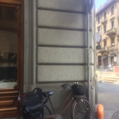 User avatar for Cinzia Picchioni