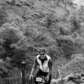 User avatar for Martin Priestley