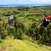 User avatar for Judith Baumann