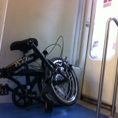 User avatar for Americo Anticoli