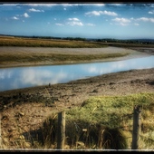 User avatar for Maurice Collins