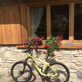 User avatar for Mariarosa Trabucchi