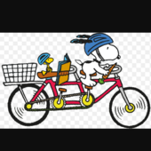 User avatar for Federica Sala