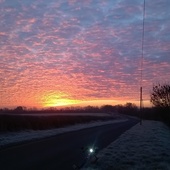 User avatar for Chris Gorman