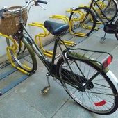 User avatar for Federica Calosso