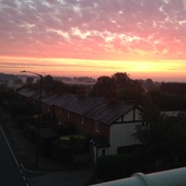 User avatar for Adrian Toon