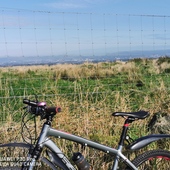 User avatar for Brian Cummiskey