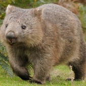 User avatar for Matthew Coe