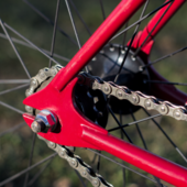 User avatar for Nicoletta Pony