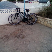 User avatar for nicoletta mesiano