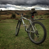 User avatar for Grant Burton