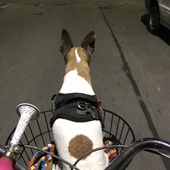 User avatar for Rosanna Landro