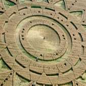 User avatar for Fabrizia Vietto