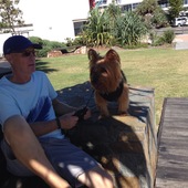 User avatar for David Boag