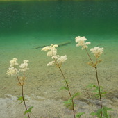 User avatar for Valeria T.