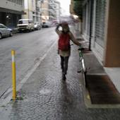 User avatar for Ofelia Libralato